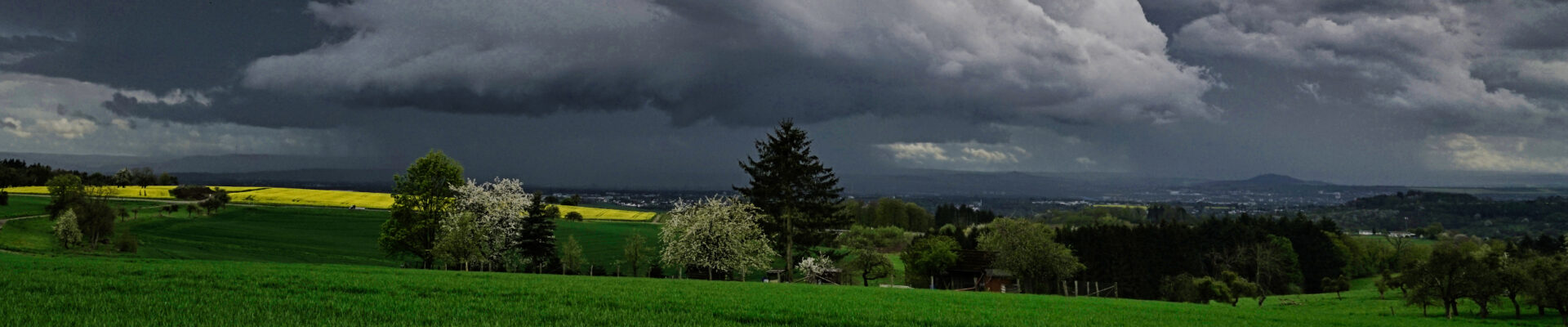 Fotografie by Andre Nagorny